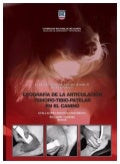 Medicina Felina Hyperaldosteronisme Felin Pas Si Rare Vetbreed