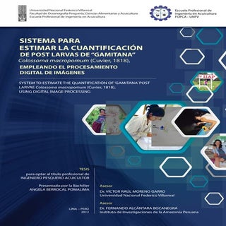 Tesis: SISTEMA PARA  ESTIMAR LA CUA...