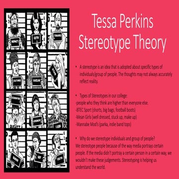 Tessa perkins stereotype theory