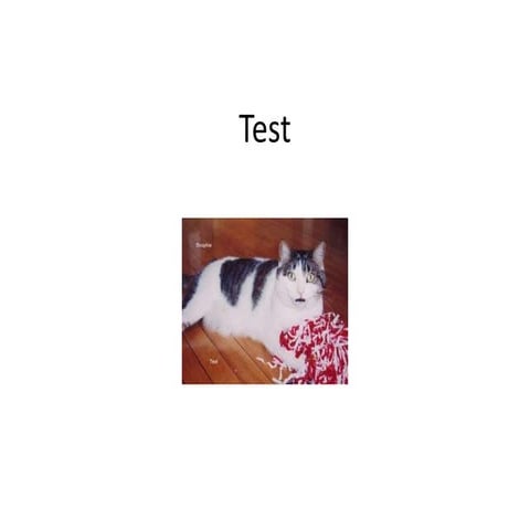 TEST no1 | PPTX