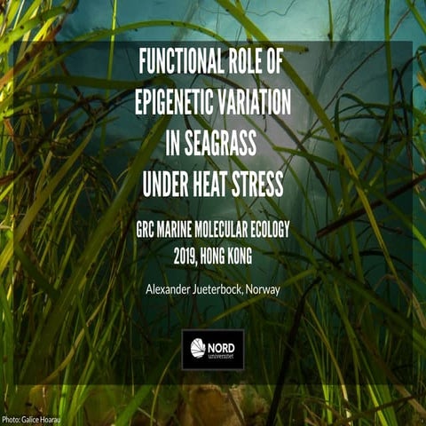 Functional role of epigenetic variation in seagrass under heat stress