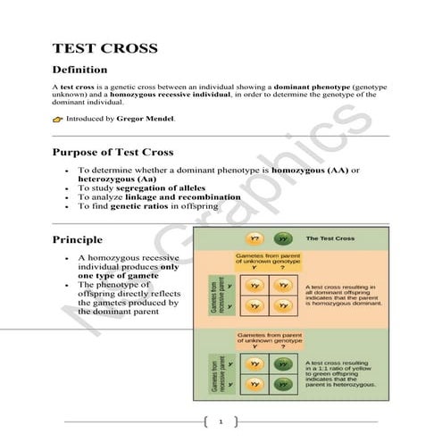 Back and test cross | PPTX