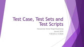 Test case, test sets and test scripts
