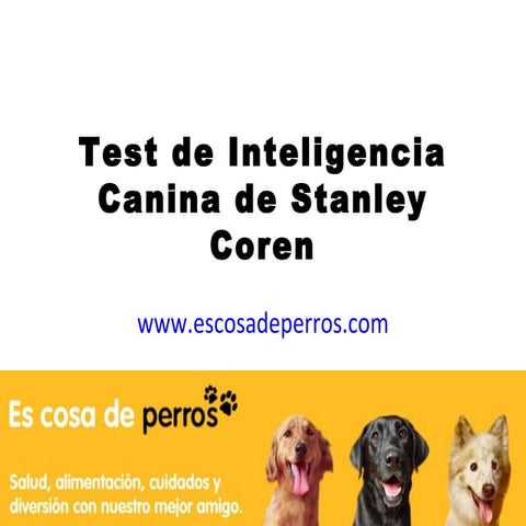 Test de inteligencia canina (de Stanley Coren) | PPT