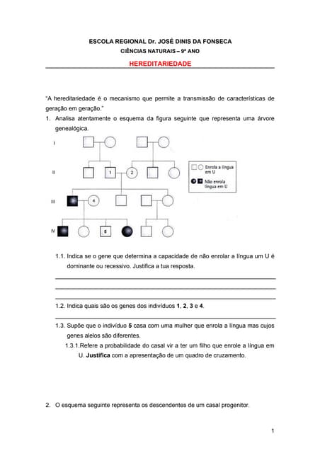 Teste 2º PeríOdo Hereditariedade
