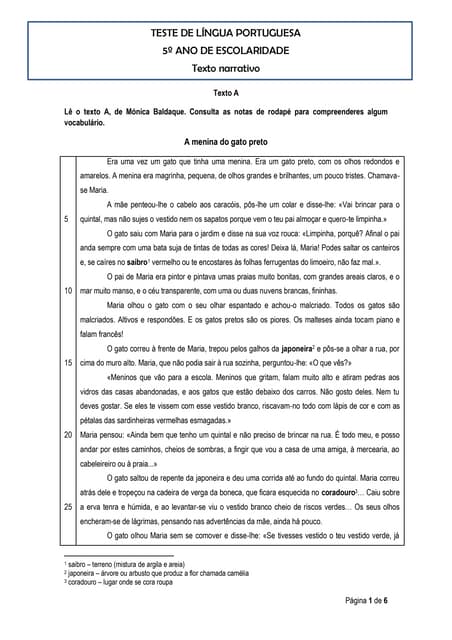 Teste_a menina do gato preto