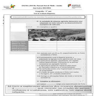 Teste diagnóstico, 9º ano