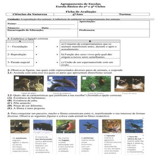 Teste reprodução animal