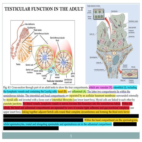 Basic concepts of biology Basic definition branches Main branches cell ...