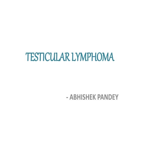 Testicular lymphoma