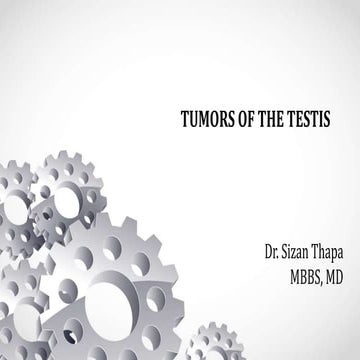 Testicular malignancies and its types.pptx