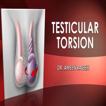 Testicular Torsion