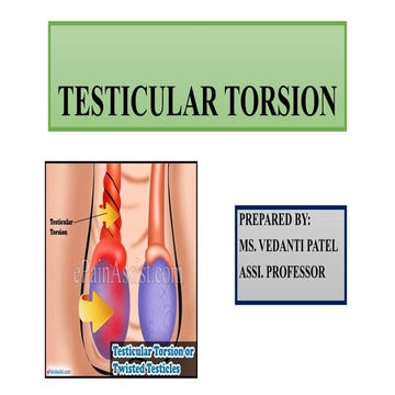Testicular Torsion & Testicular cancer.pptx