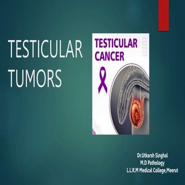 Testicular tumors.pptx
