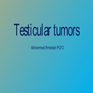 Testicular tumors 