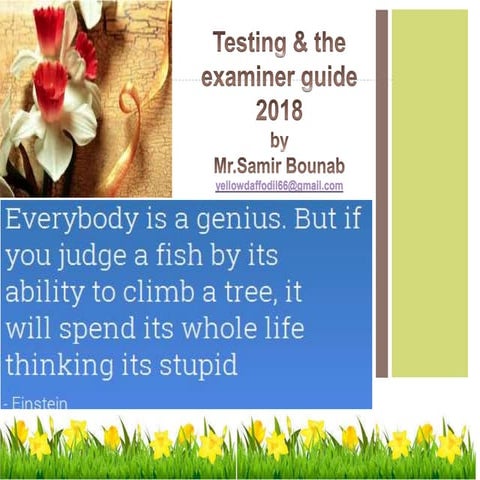 Testing &amp; bem guide 2018