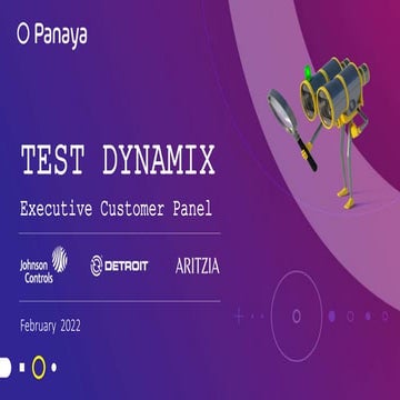 Smart Testing Executive Customer Panel – Hosted By Panaya’s CEO