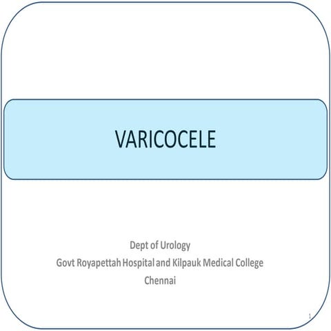 Testis  varicocele
