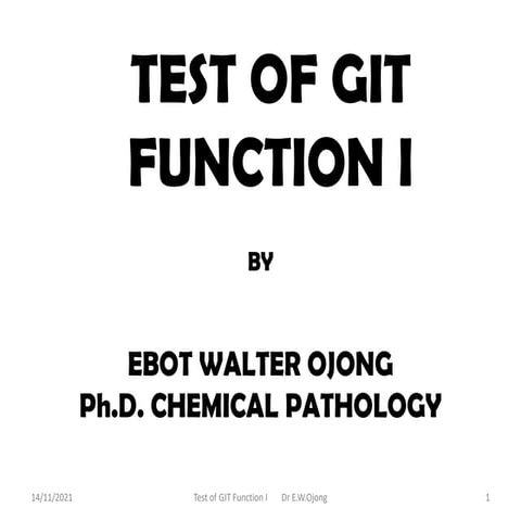 Test of GIT Function I.pdf