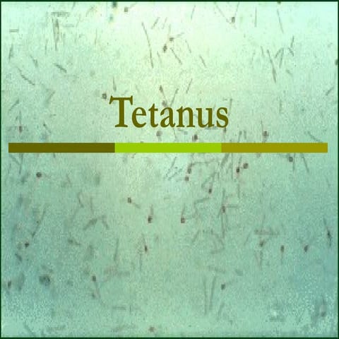 !Tetanus m