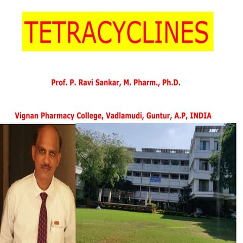 Tetracyclines 
