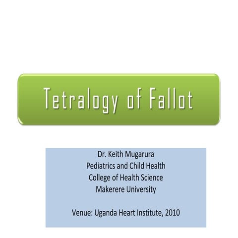 Tetralogy of fallot