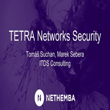 TETRA Networks Security