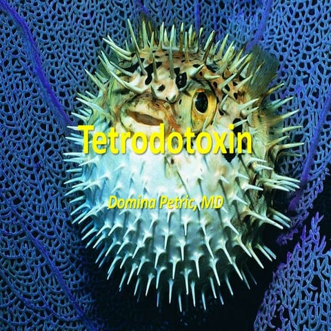 Tetrodotoxin