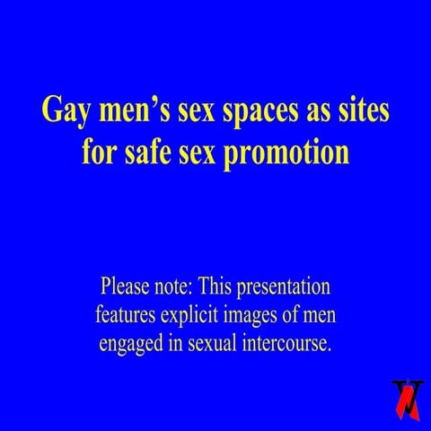 Gay Mens Sex Spaces as Sites for Safe Sex Promotion