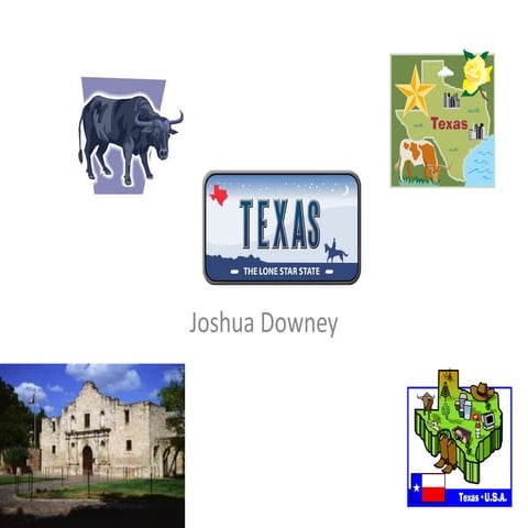 Texas | PPT