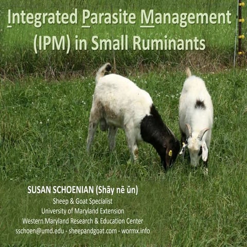IPM in Small Ruminants