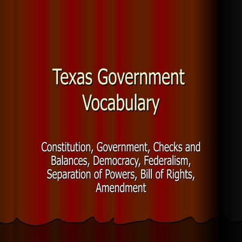 Texas Government