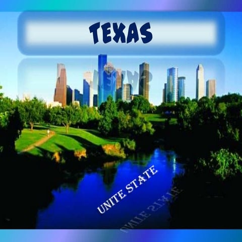 Texas powerpoint | PPT