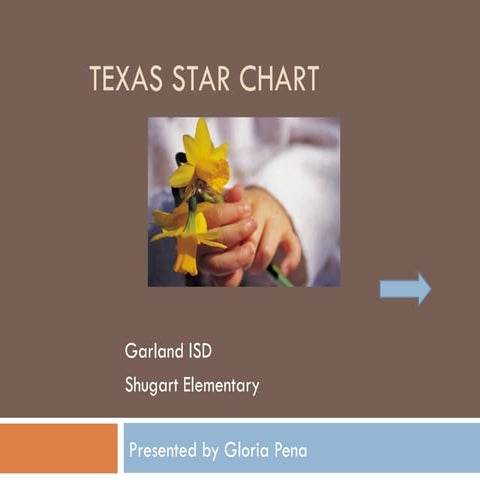 Texas STaR Chart