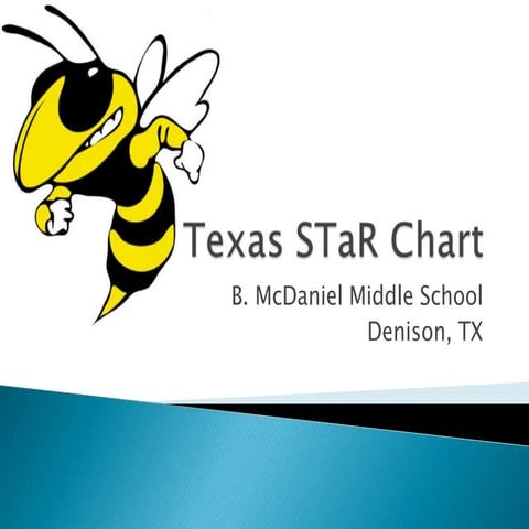 Texas STaR chart