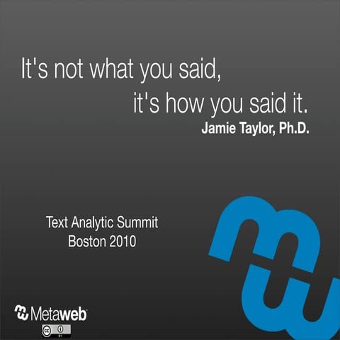 Text Analytic Summit 2010