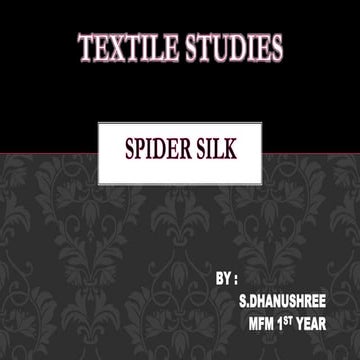 SPIDER SILK
