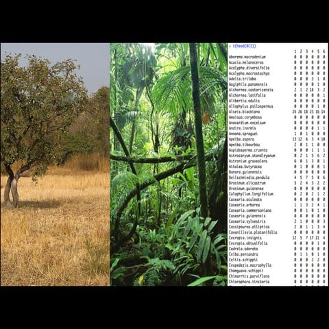 Text mining Montpellier