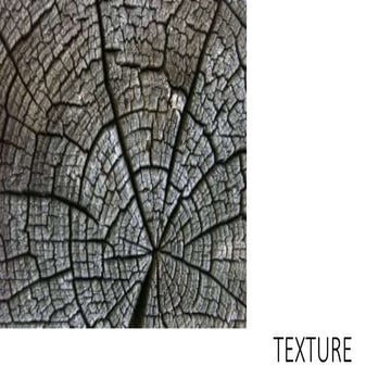 Texture