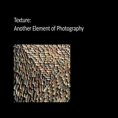 Introducing texture into photography.pptx