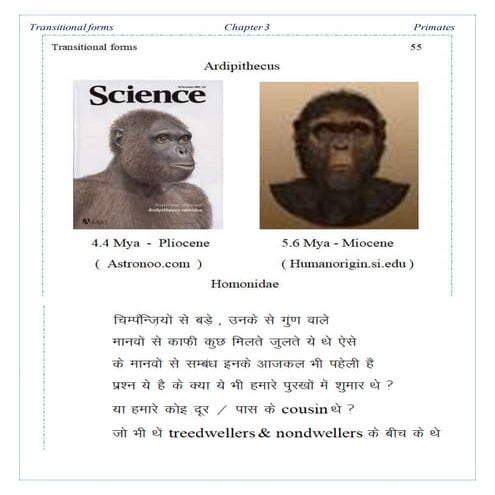 Transitional forms   chapter 3 .2 -primates - ardi to homo neanderthal bilingual