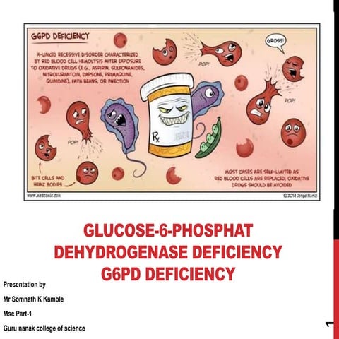  G6PD  glucose 6 phosphate dehydrogens deficiency