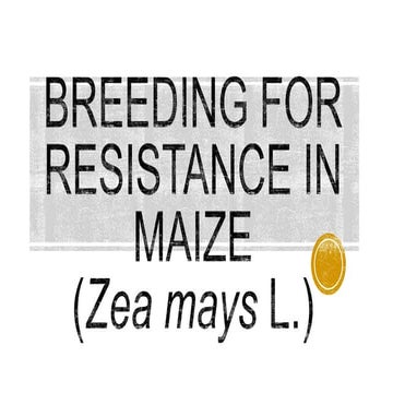 Resistance Breeding in Maize (Zea mays L.)