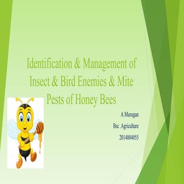 IDENTIFICATION AND MANAGEMENT OF BEE ENEMIES