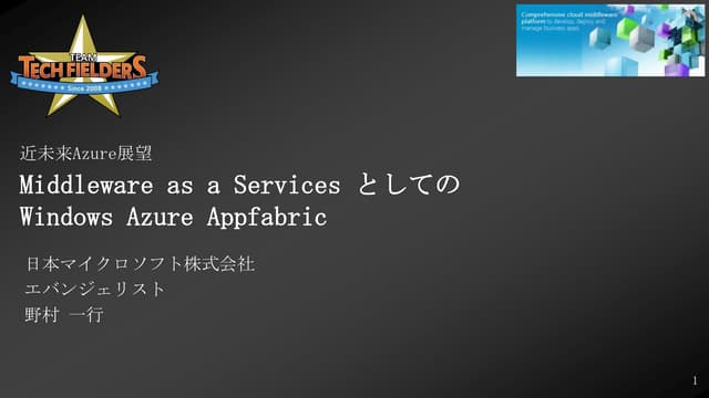 Windows Azure Appfabric as "Middleware as a Services"