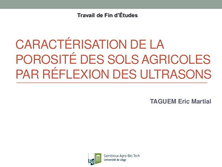 unisg master thesis