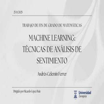 2025-TFG7_TecnicasDeAnalisisDeSentimiento