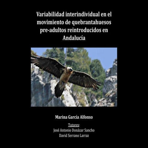Variabilidad interindividual en el movimiento de quebrantahuesos pre ...