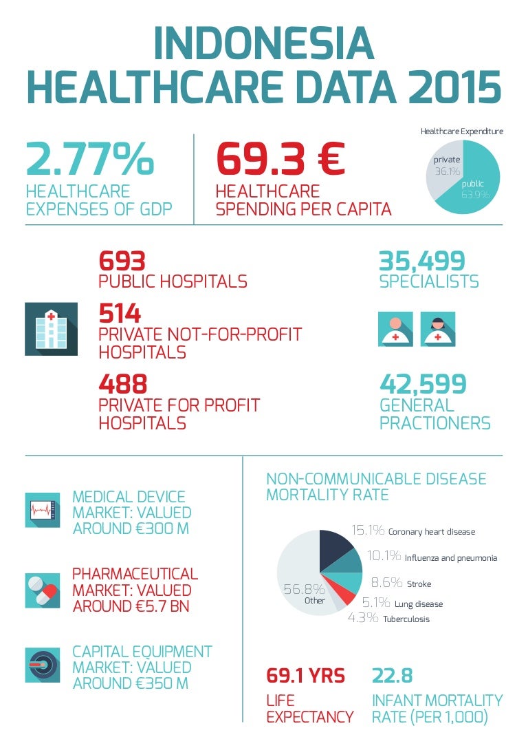 Indonesia Healthcare data - 2015