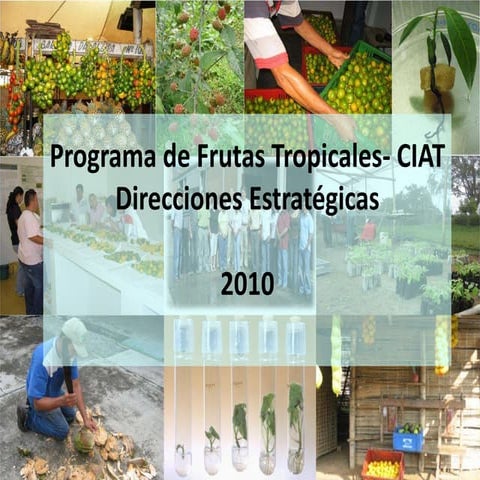 Programa de Frutas Tropicales-CIAT: Direcciones Estratégicas
